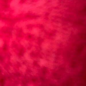 Meet your Posher, Malik